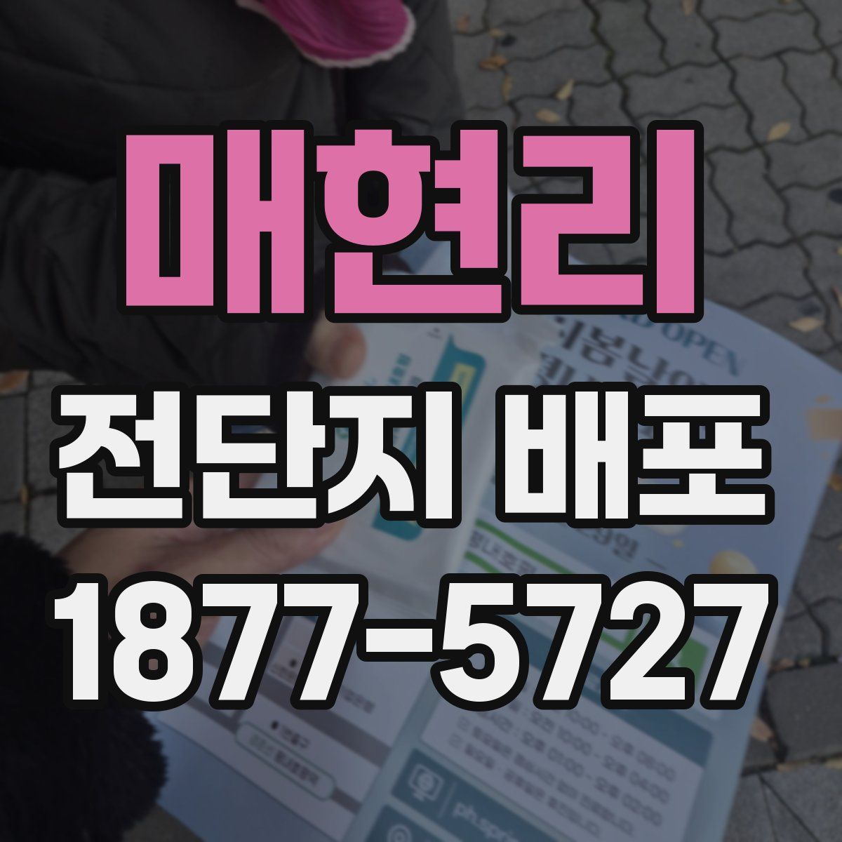 매현리 전단지 배포