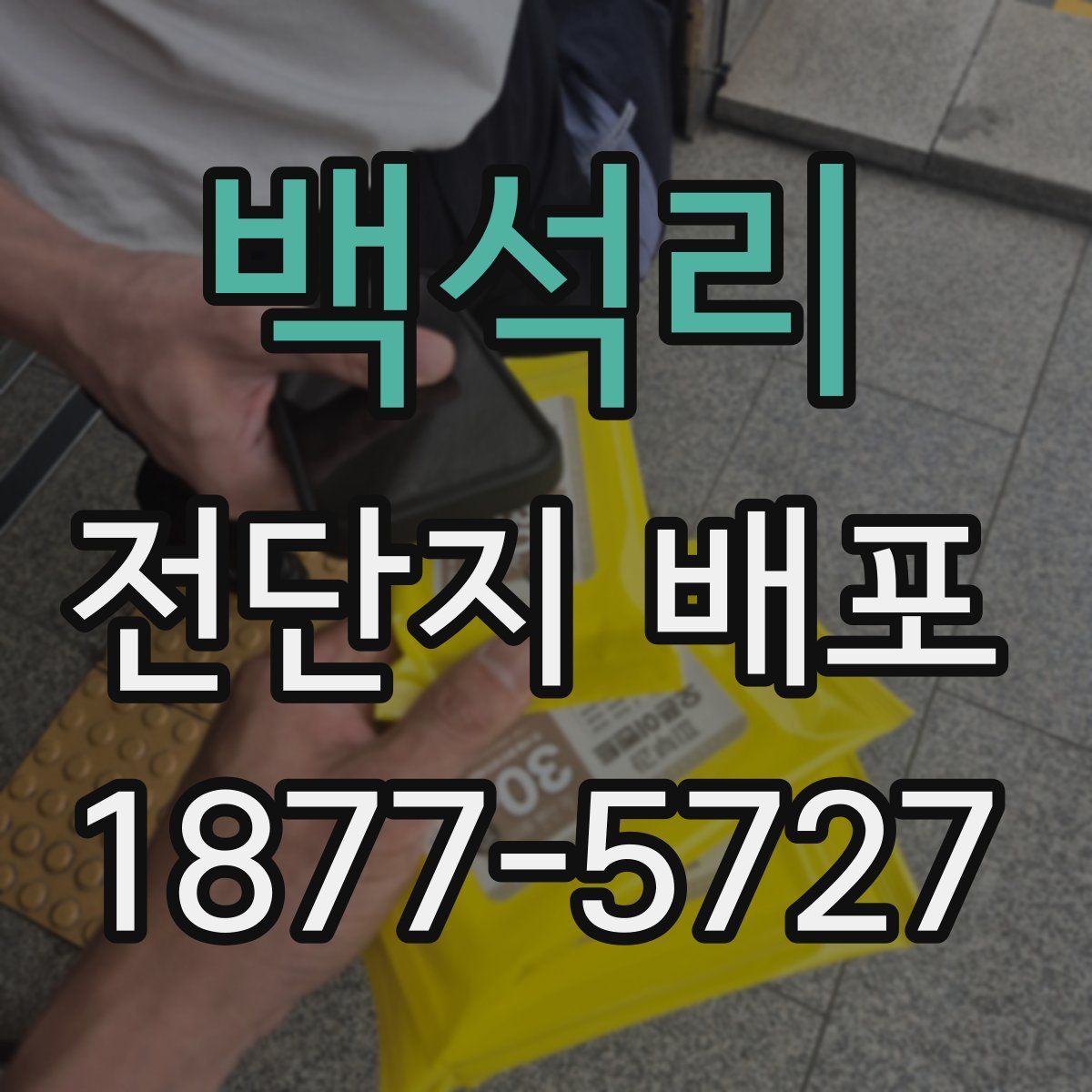 백석리 전단지 배포