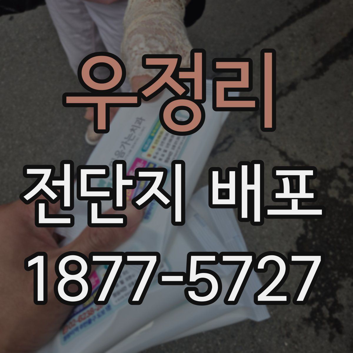 우정리 전단지 배포