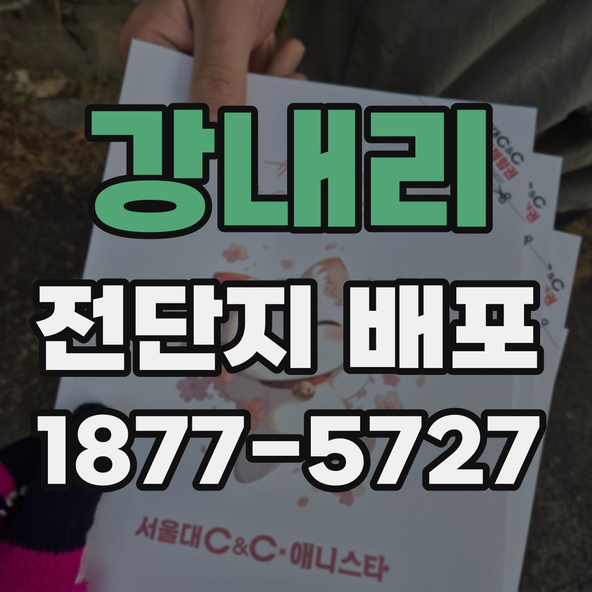 강내리 전단지 배포