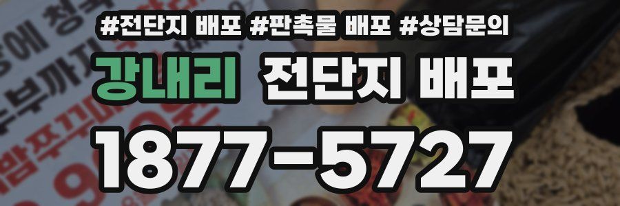 강내리 전단지 배포