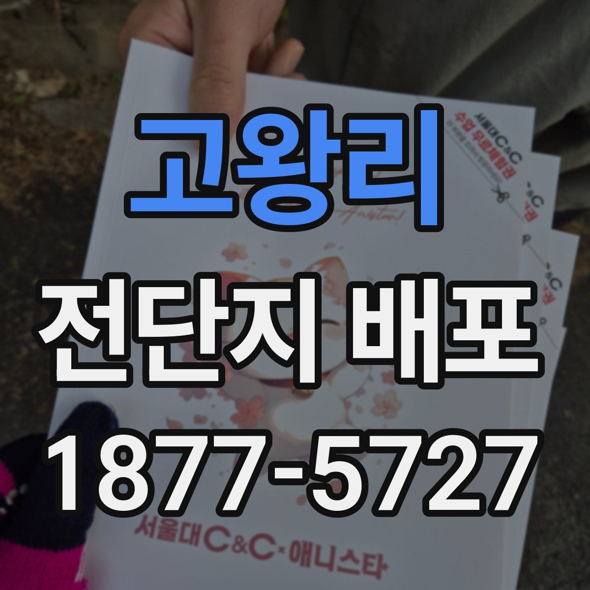 고왕리 전단지 배포