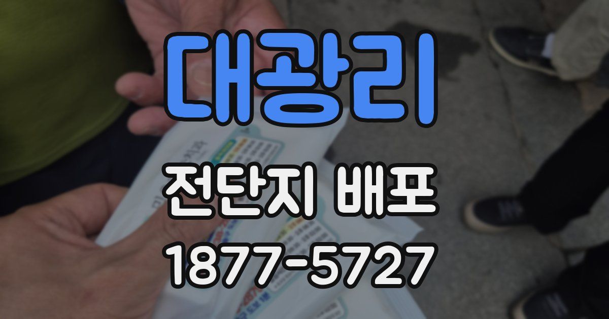 대광리 전단지 배포