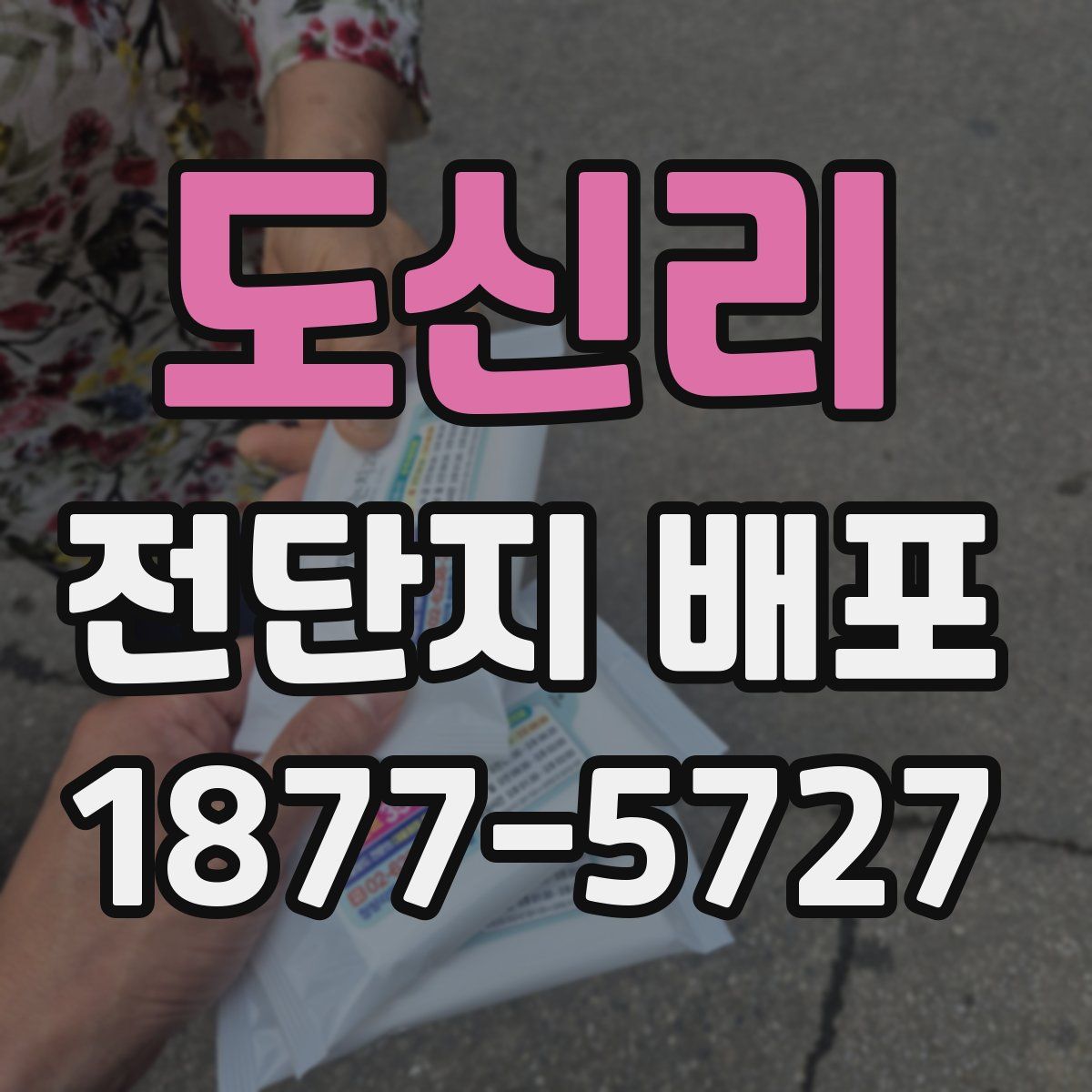 도신리 전단지 배포