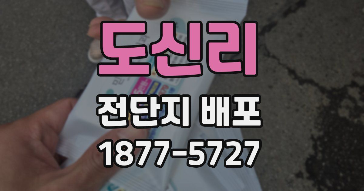 도신리 전단지 배포