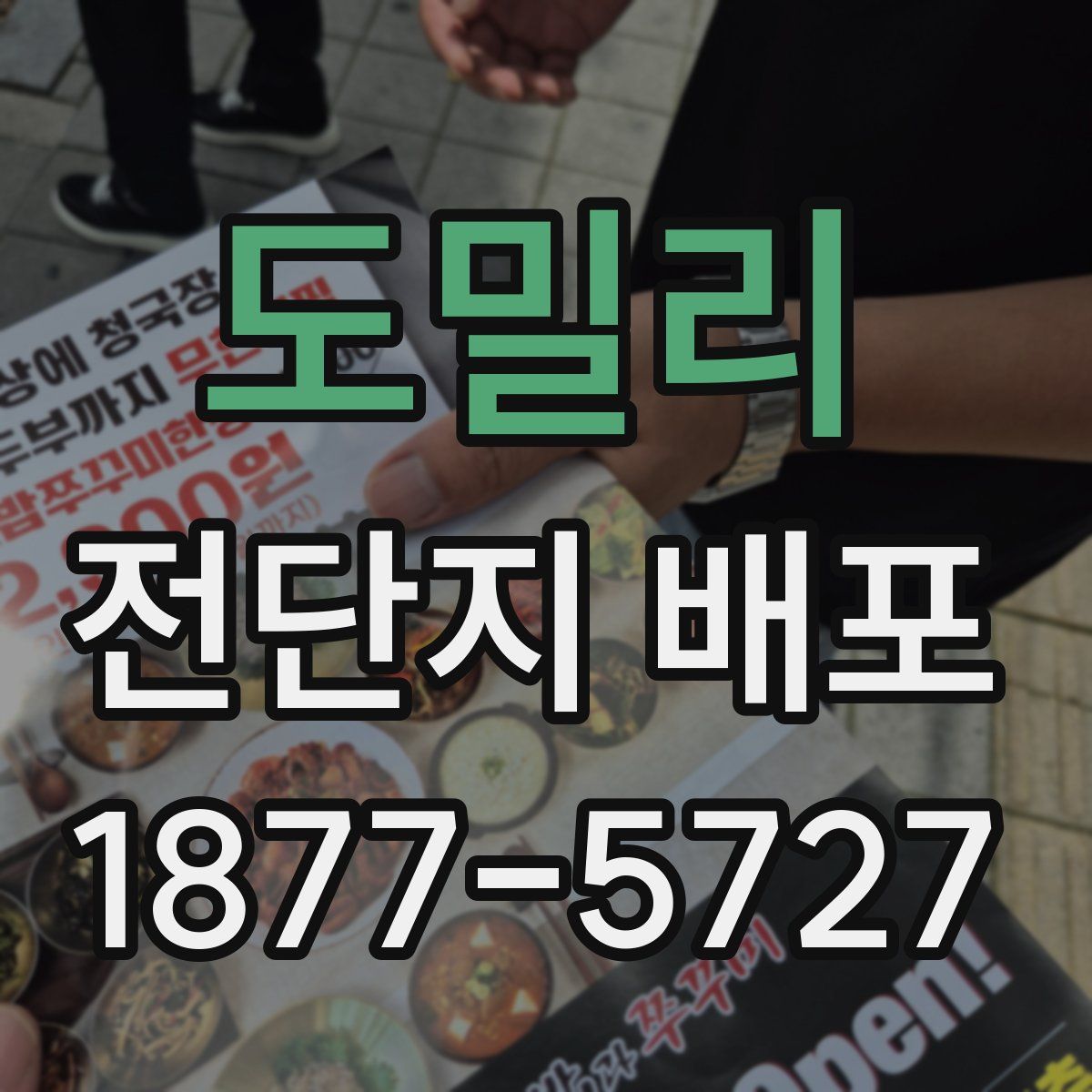 도밀리 전단지 배포