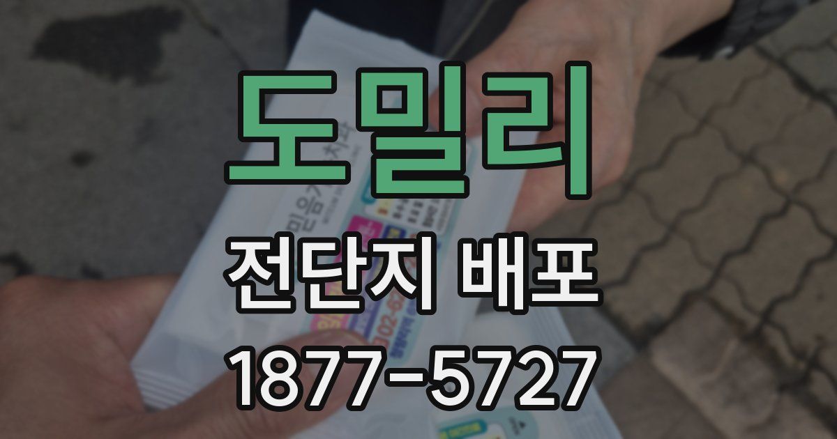 도밀리 전단지 배포