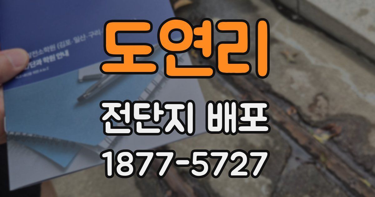 도연리 전단지 배포