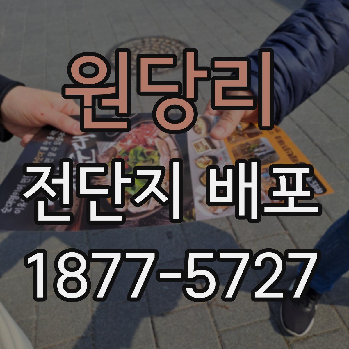 원당리 전단지 배포