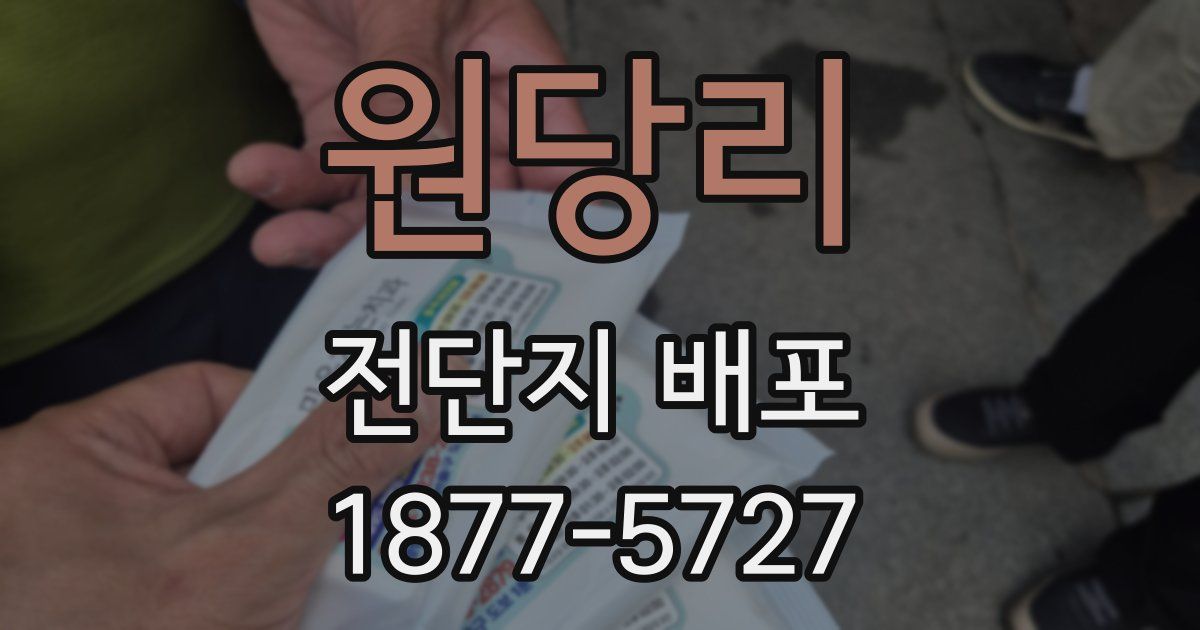 원당리 전단지 배포