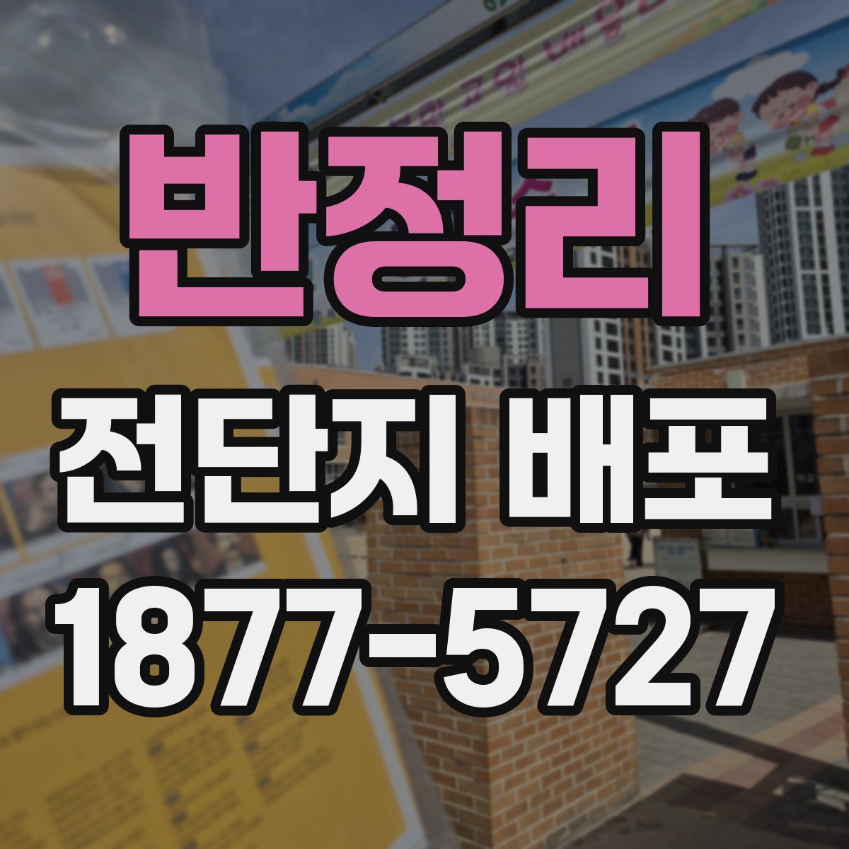 반정리 전단지 배포