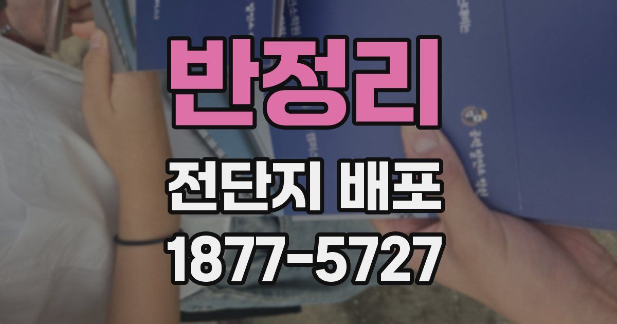 반정리 전단지 배포