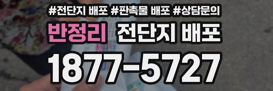 반정리 전단지 배포