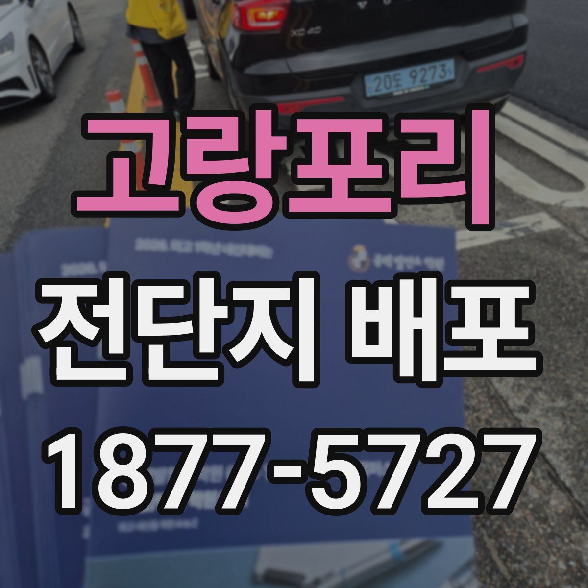 고랑포리 전단지 배포