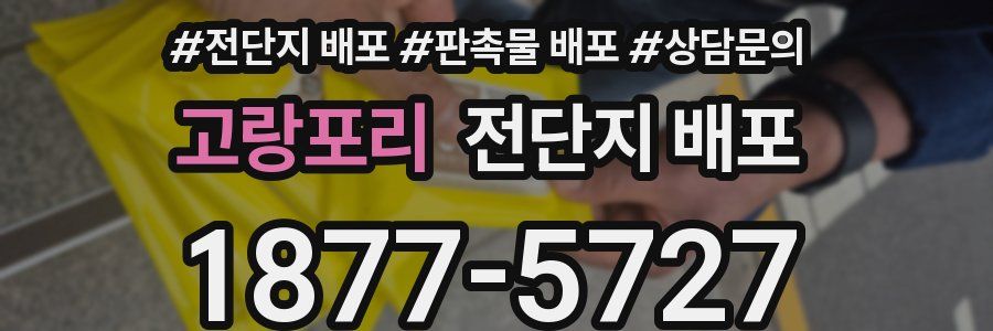 고랑포리 전단지 배포