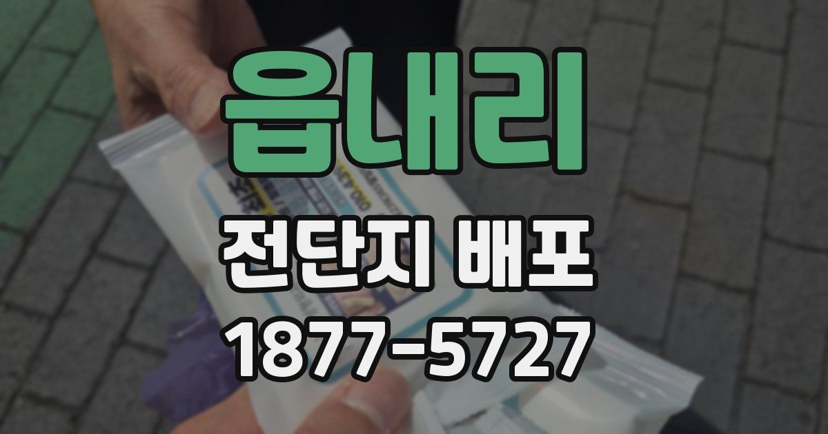 읍내리 전단지 배포