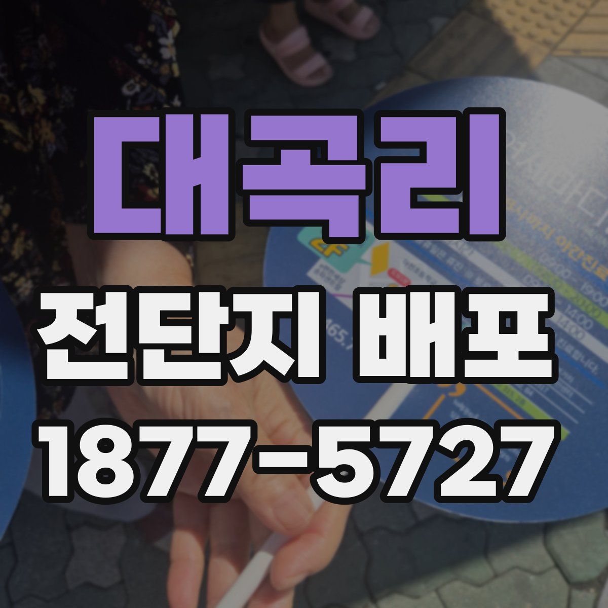 대곡리 전단지 배포