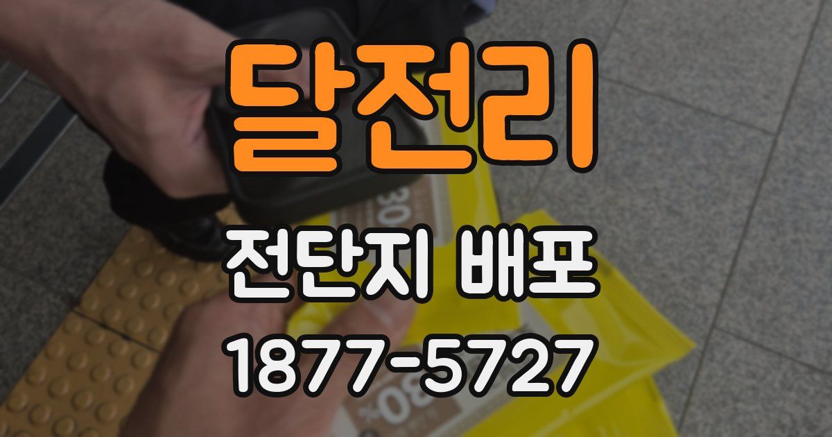 달전리 전단지 배포
