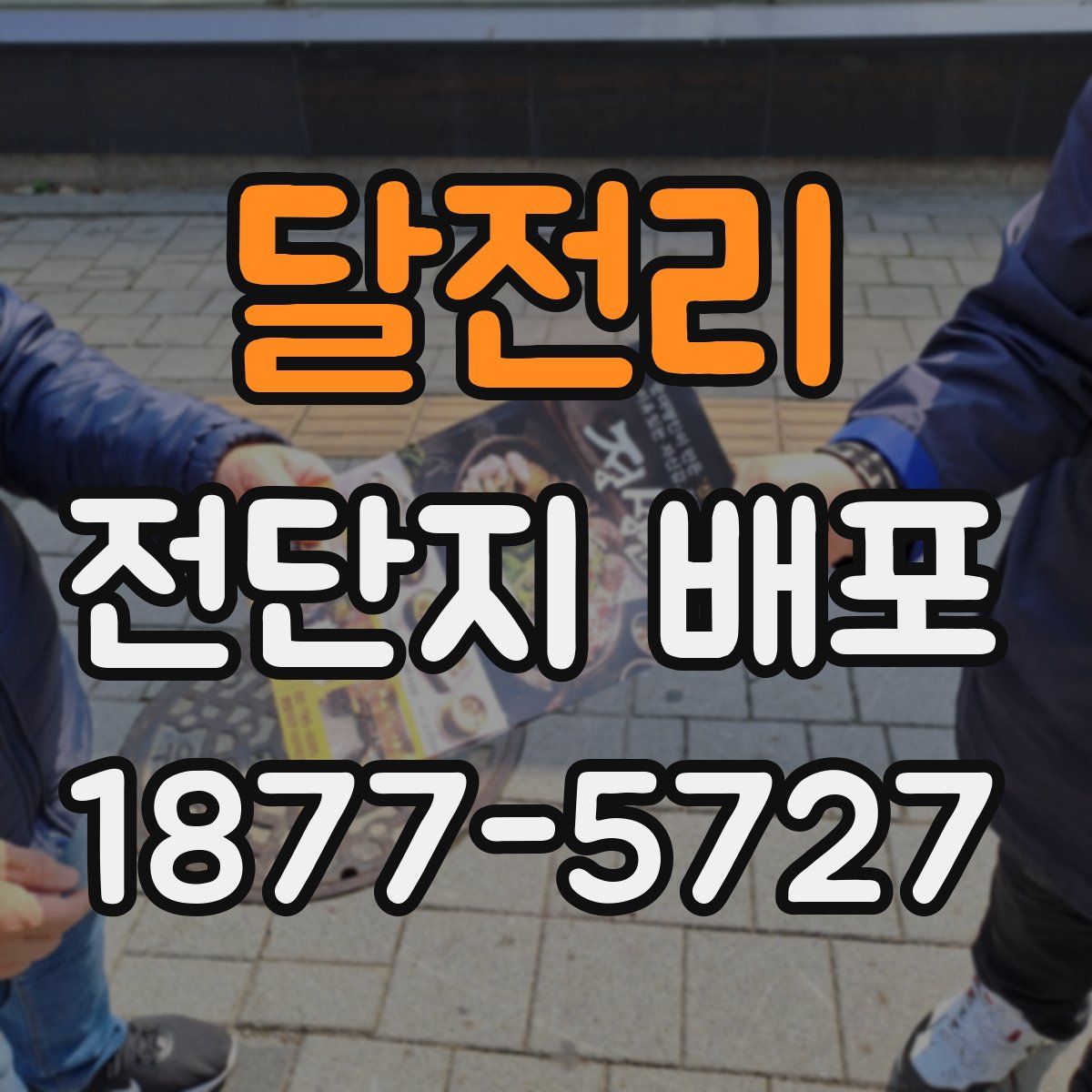 달전리 전단지 배포