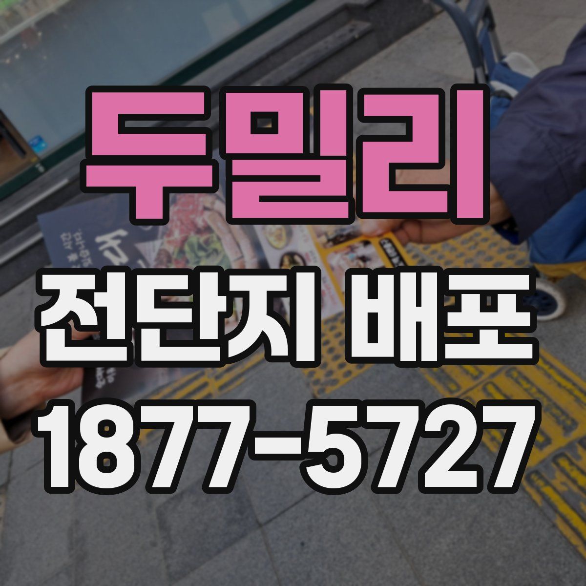 두밀리 전단지 배포