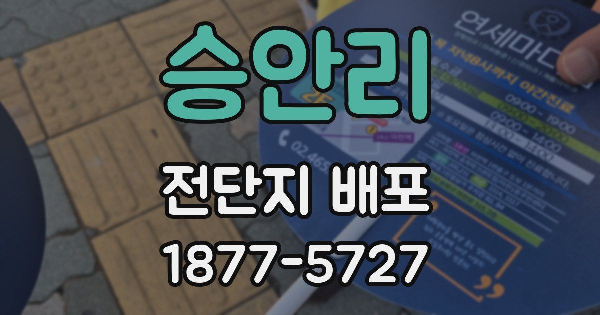승안리 전단지 배포