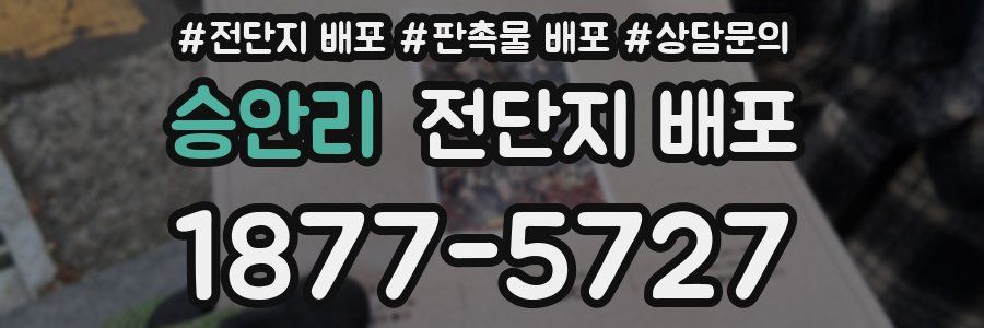 승안리 전단지 배포