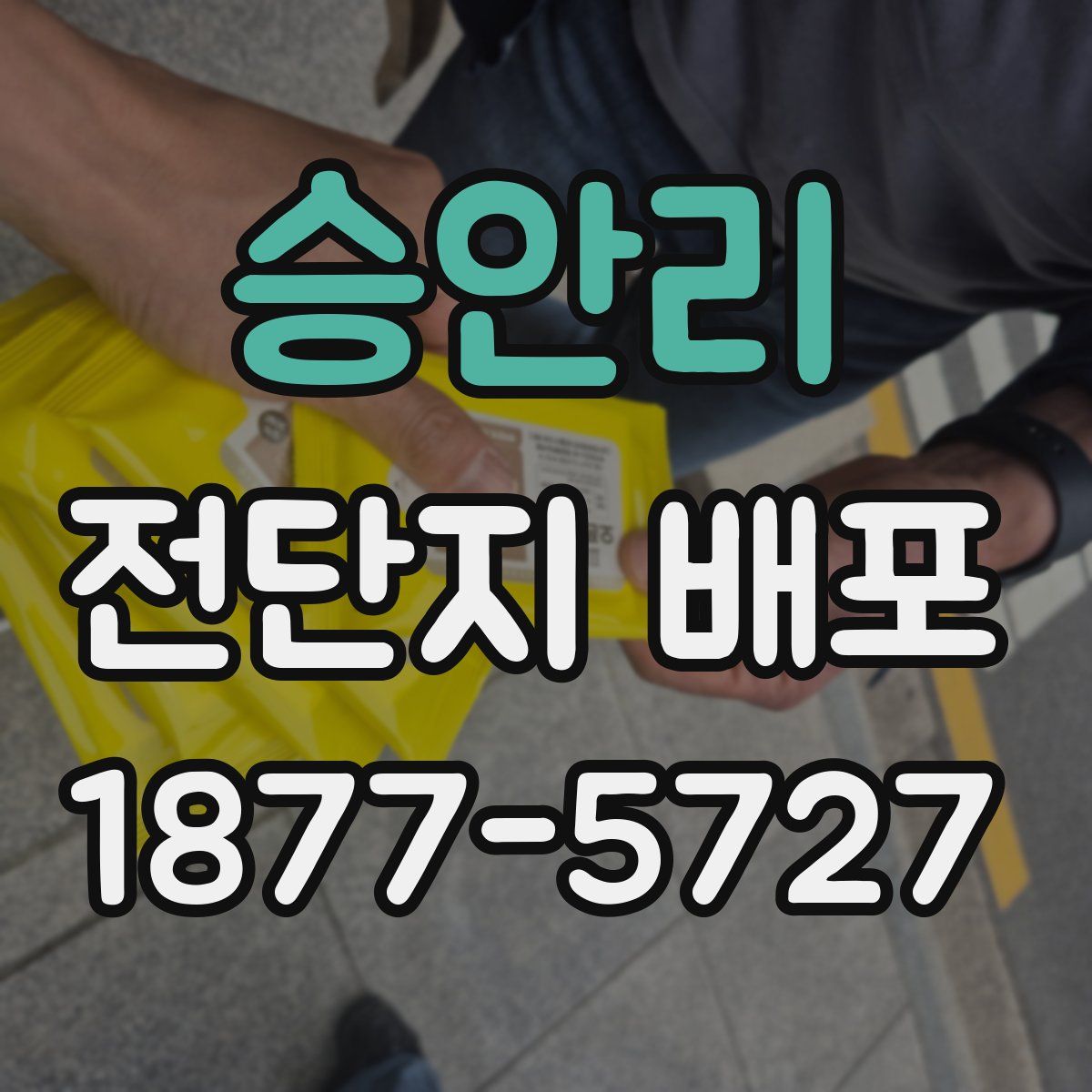 승안리 전단지 배포