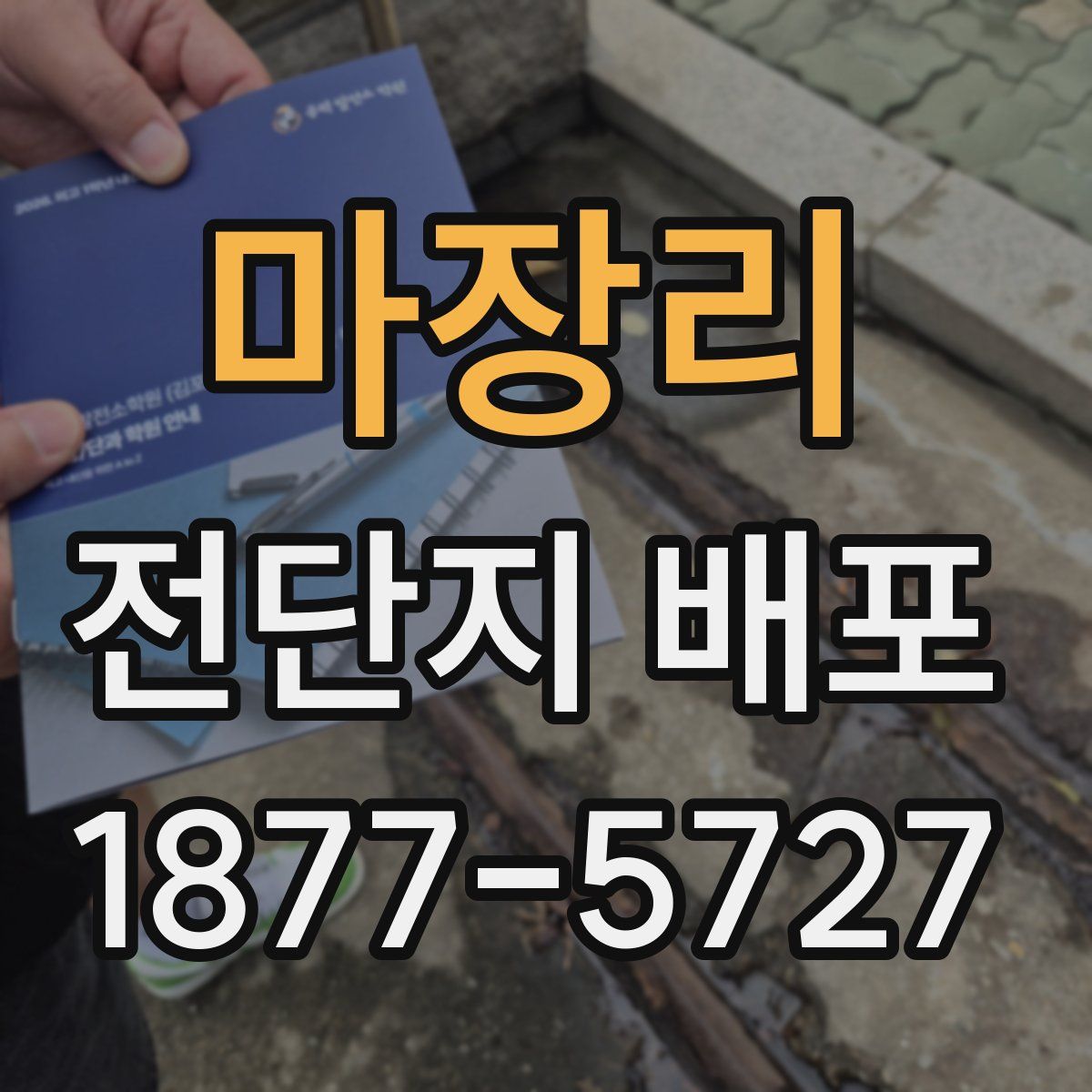 마장리 전단지 배포