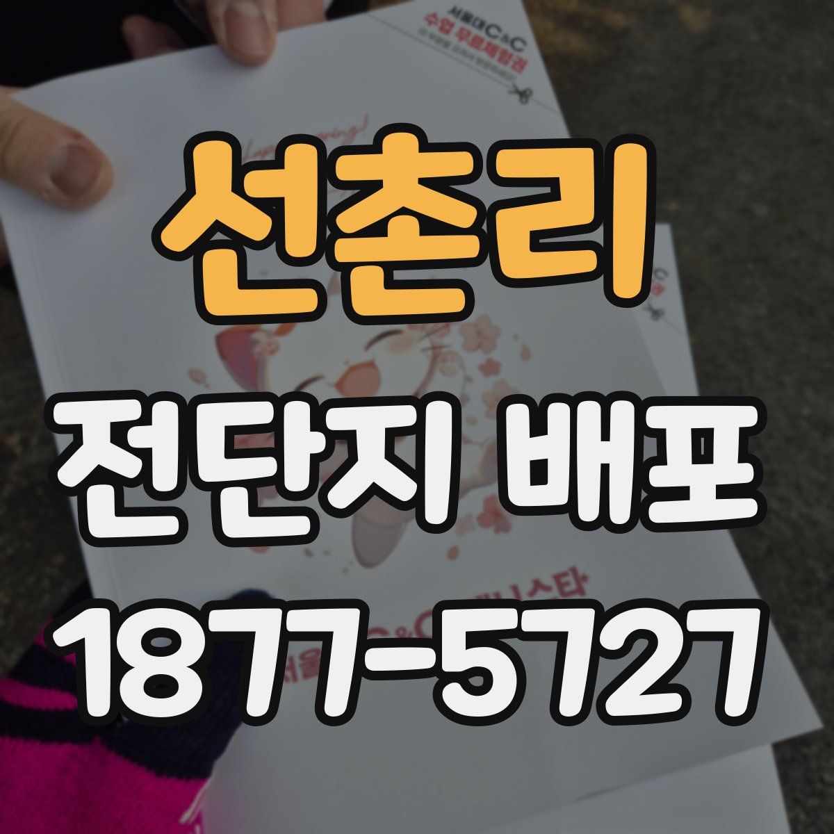선촌리 전단지 배포
