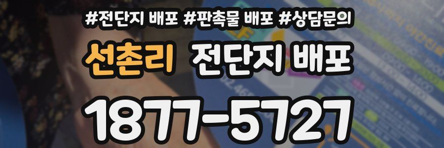 선촌리 전단지 배포