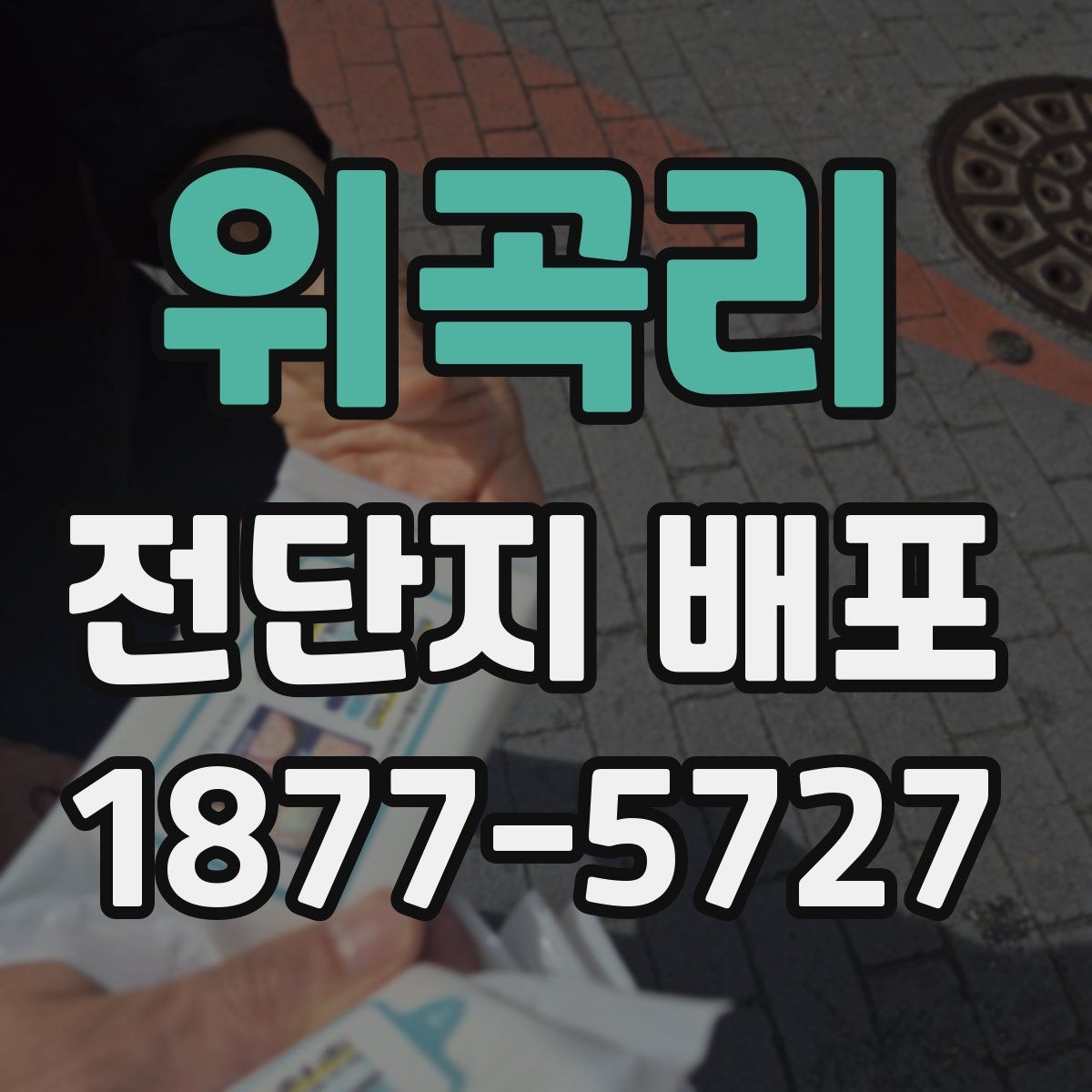 위곡리 전단지 배포