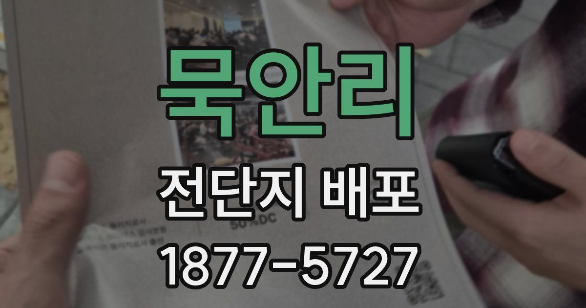 묵안리 전단지 배포