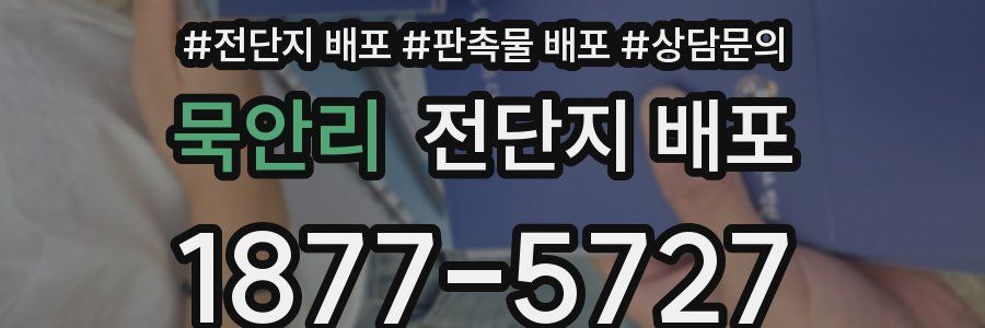 묵안리 전단지 배포