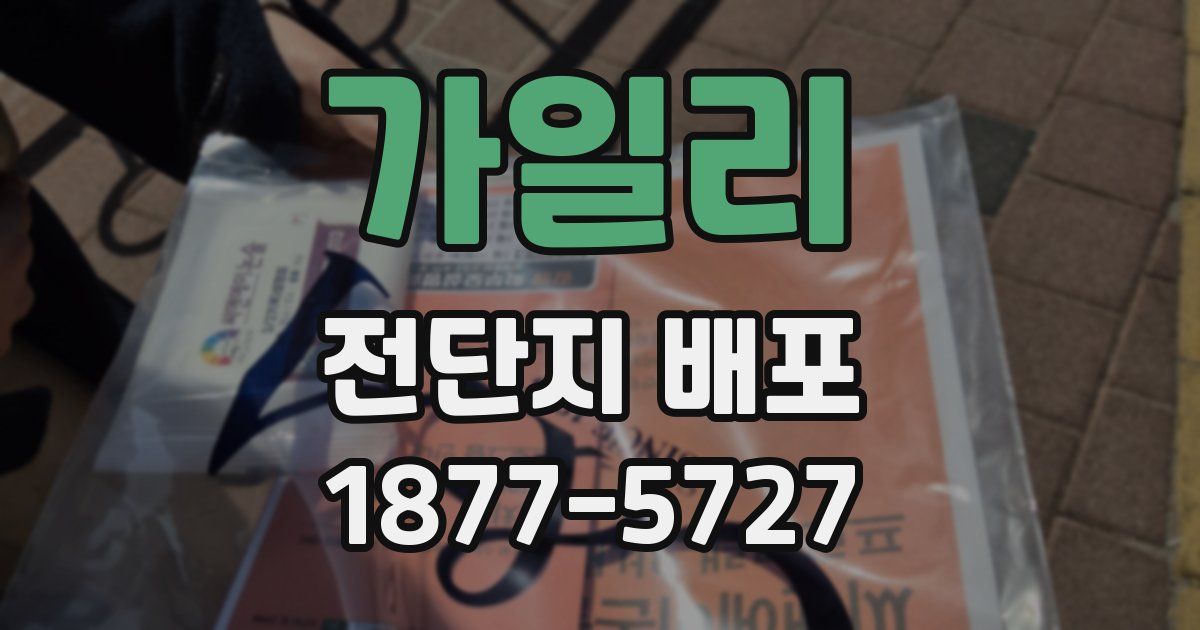 가일리 전단지 배포