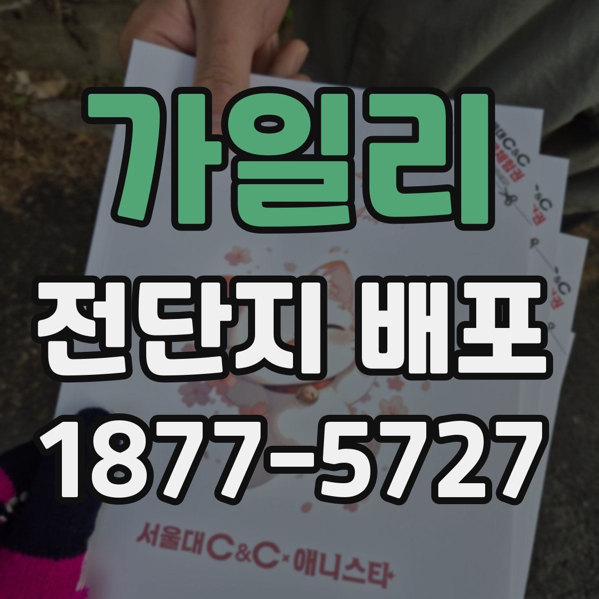 가일리 전단지 배포