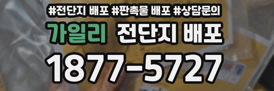 가일리 전단지 배포