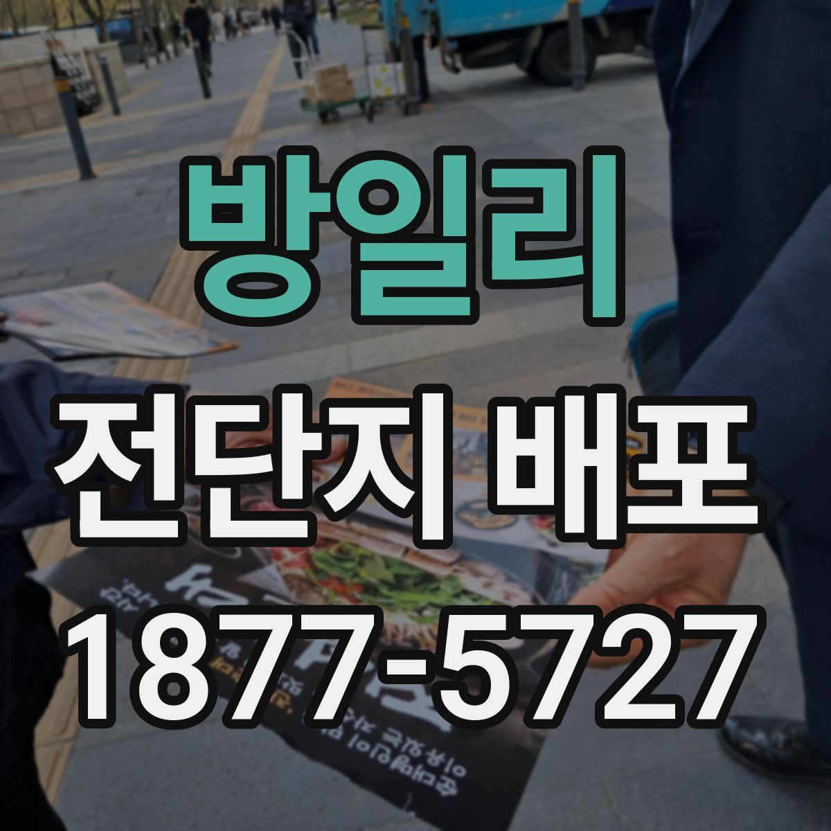 방일리 전단지 배포