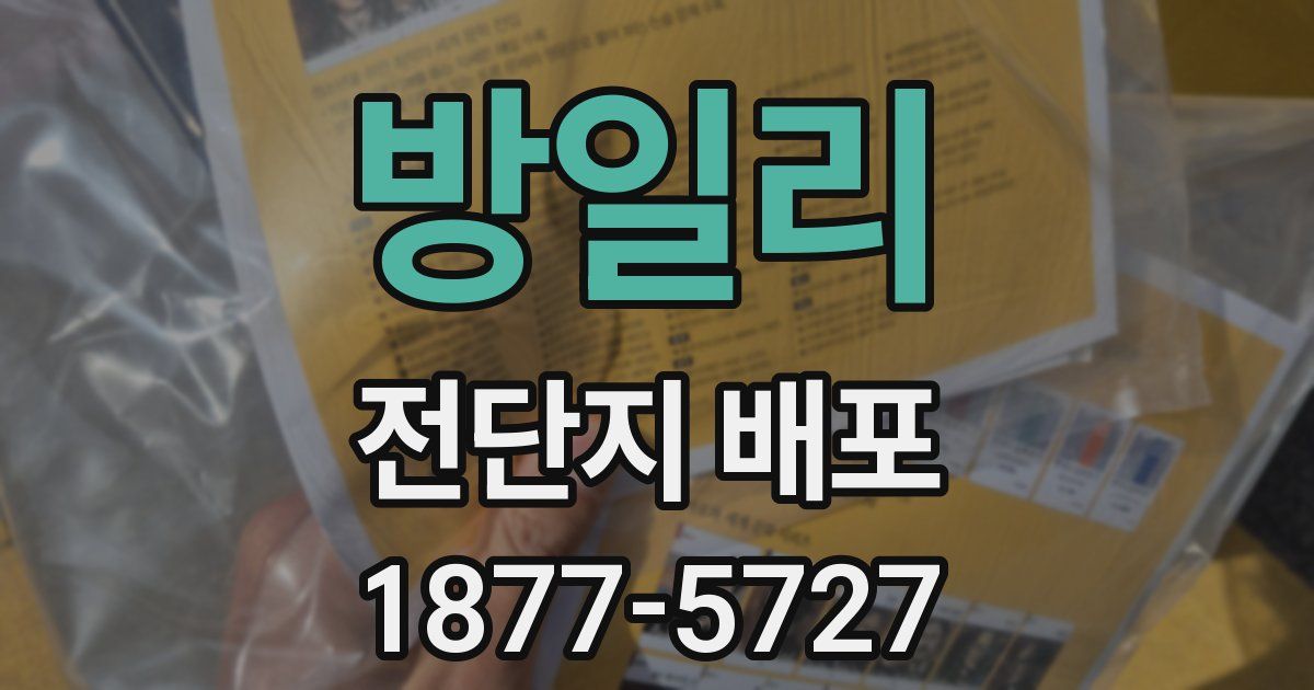 방일리 전단지 배포