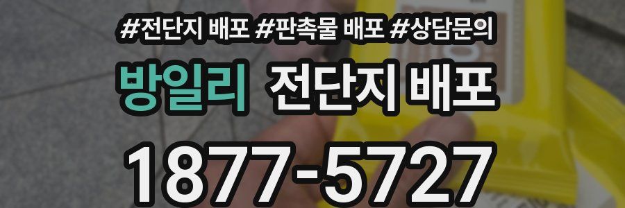 방일리 전단지 배포
