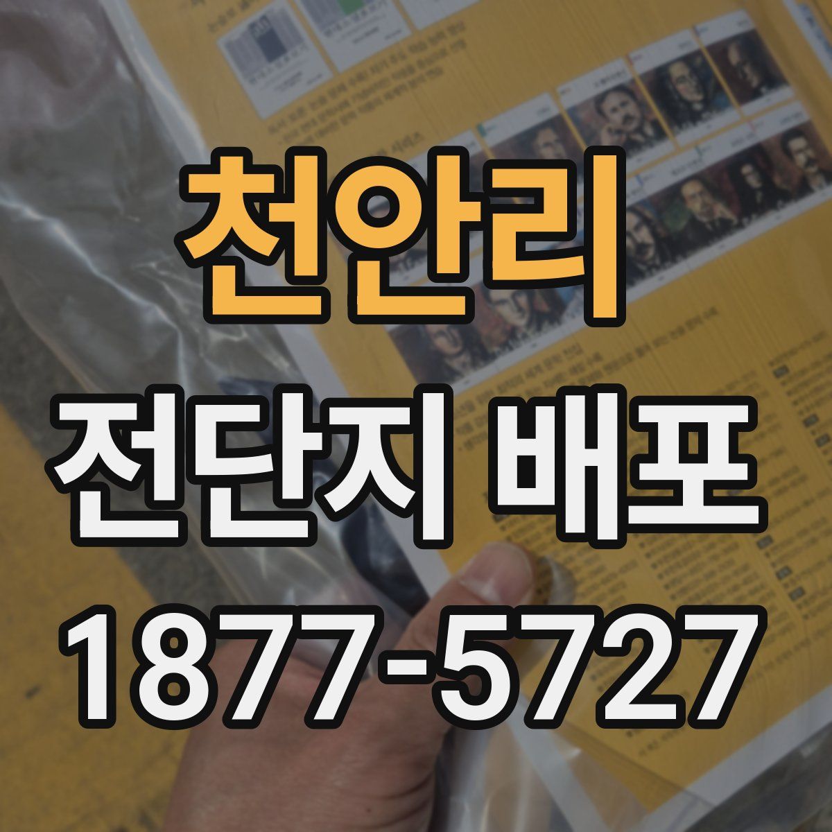 천안리 전단지 배포