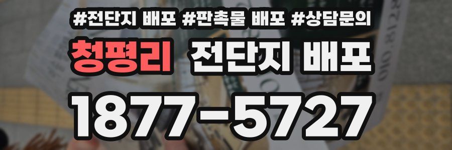 청평리 전단지 배포