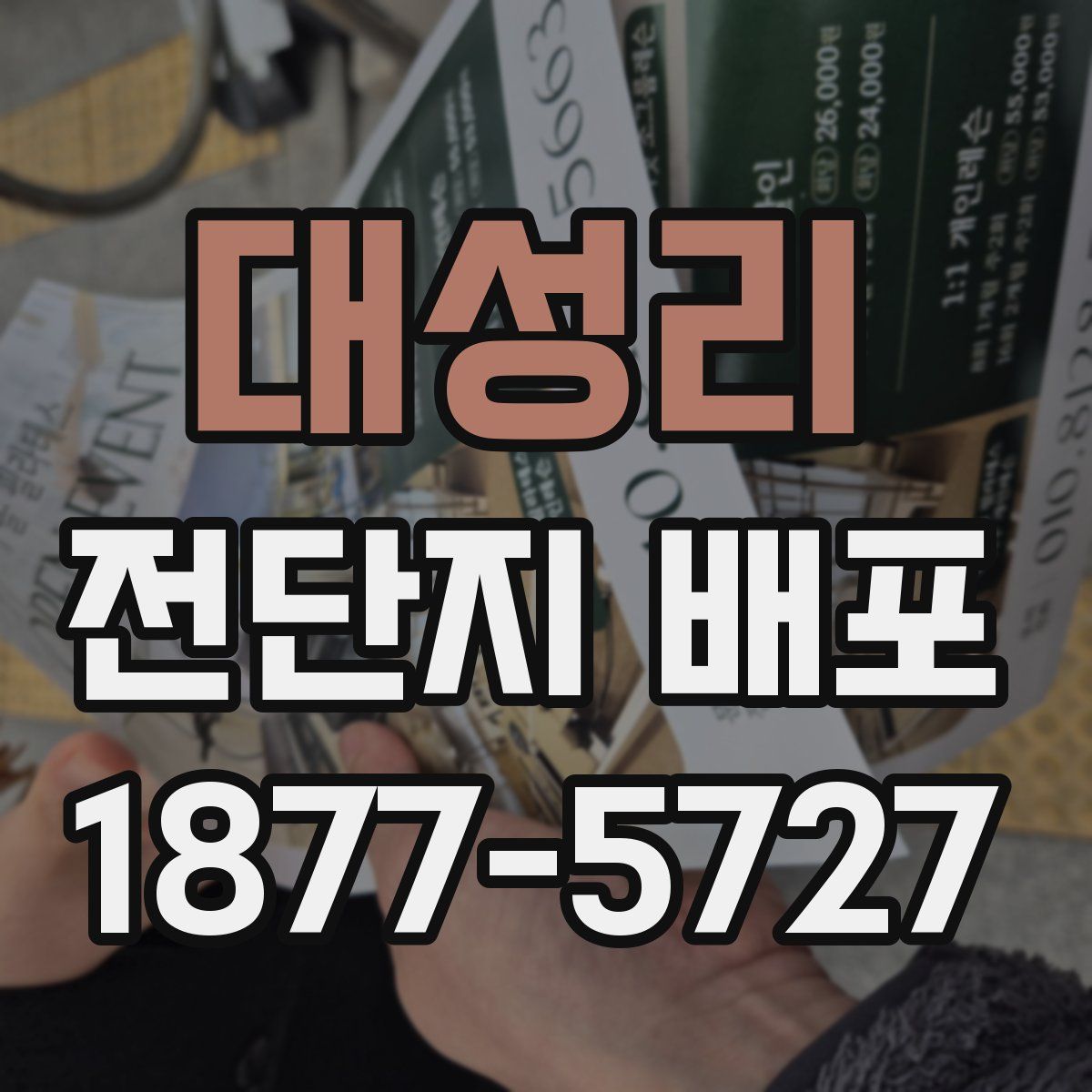대성리 전단지 배포