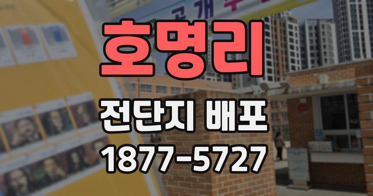 호명리 전단지 배포
