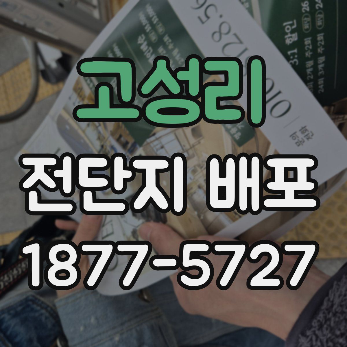 고성리 전단지 배포