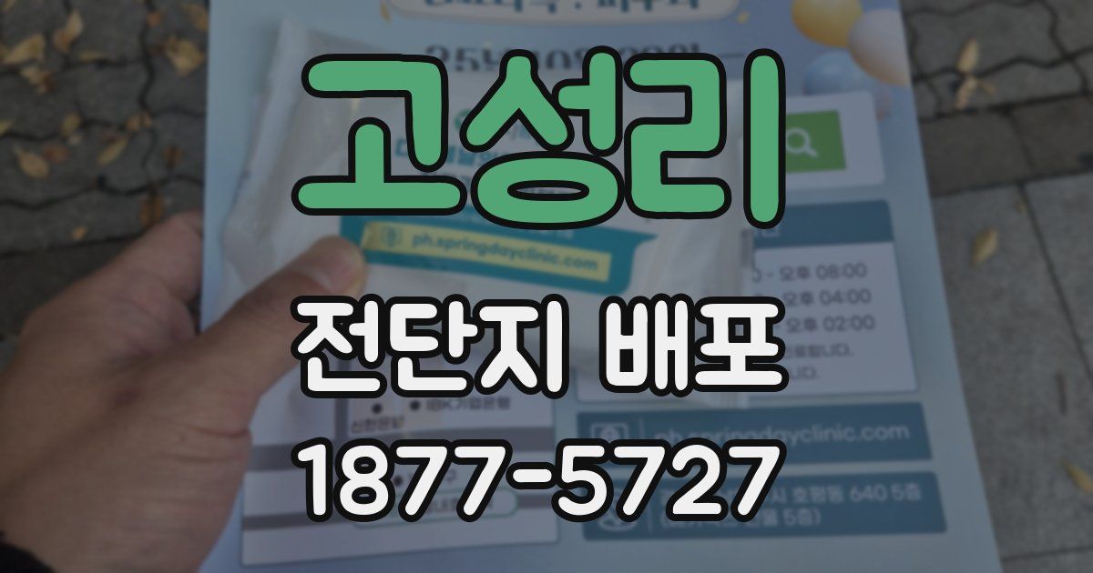 고성리 전단지 배포