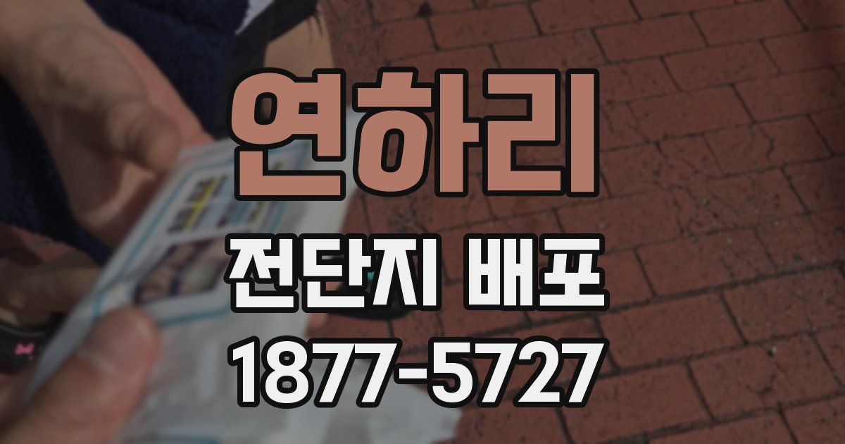 연하리 전단지 배포