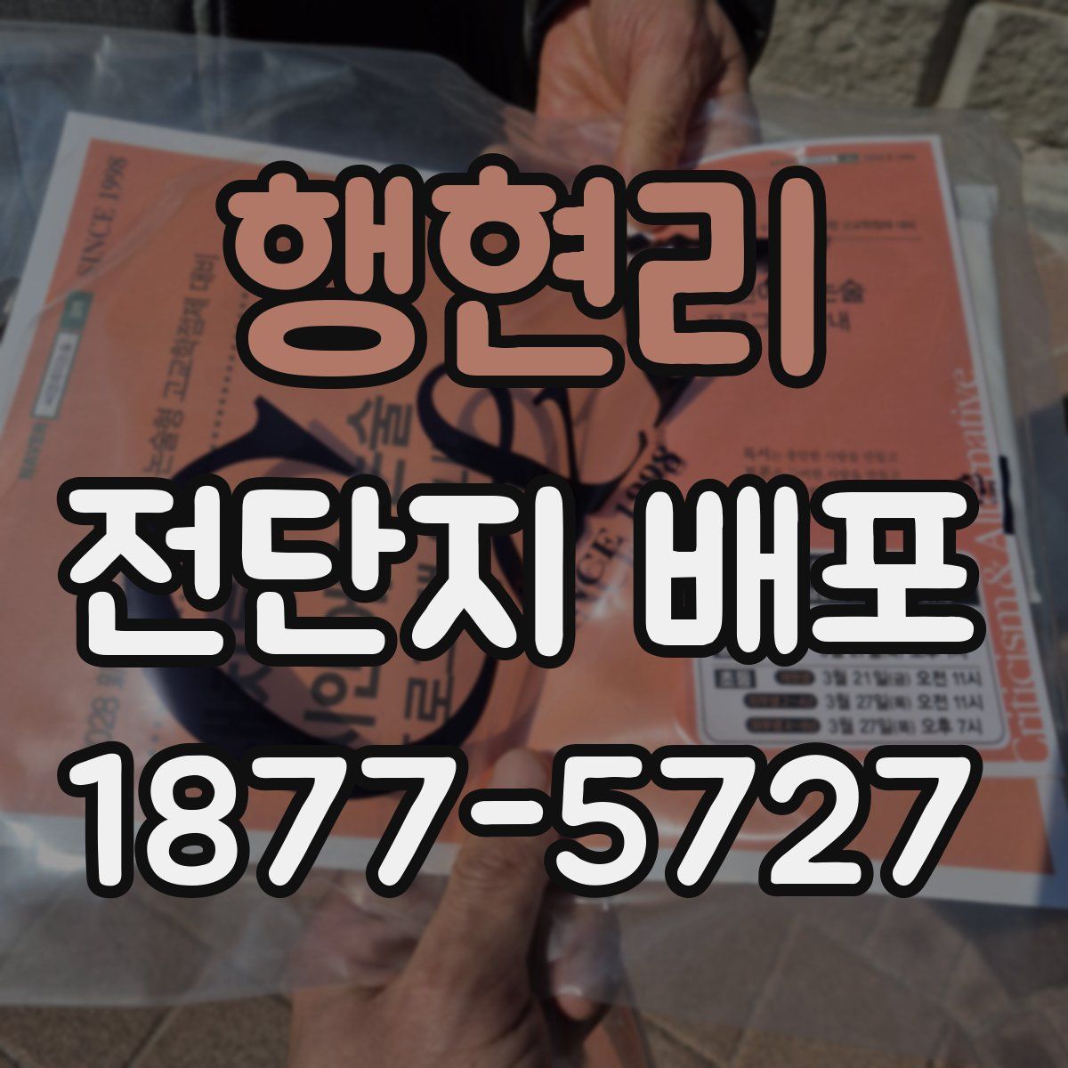 행현리 전단지 배포