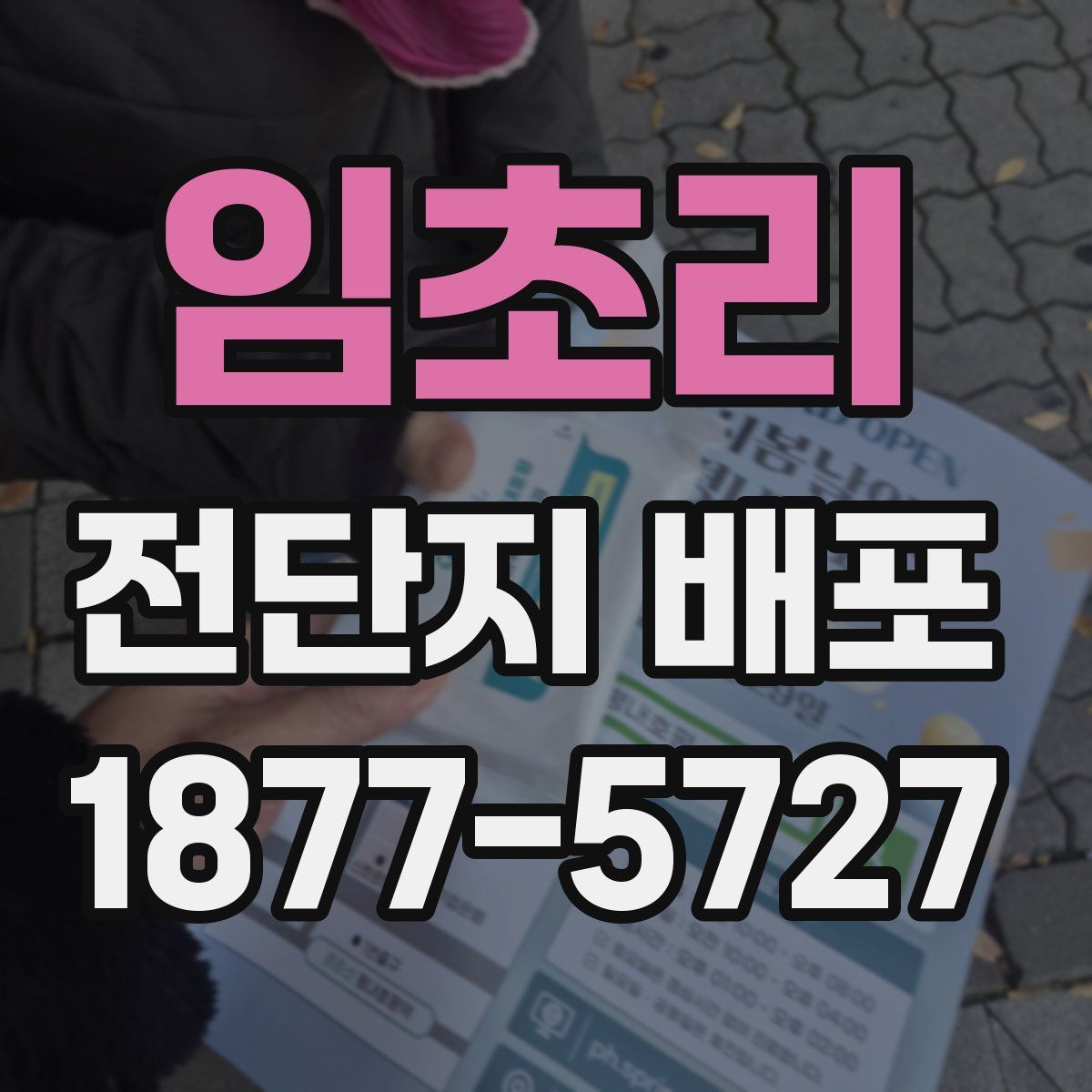 임초리 전단지 배포
