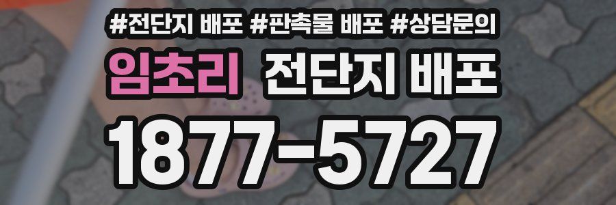 임초리 전단지 배포