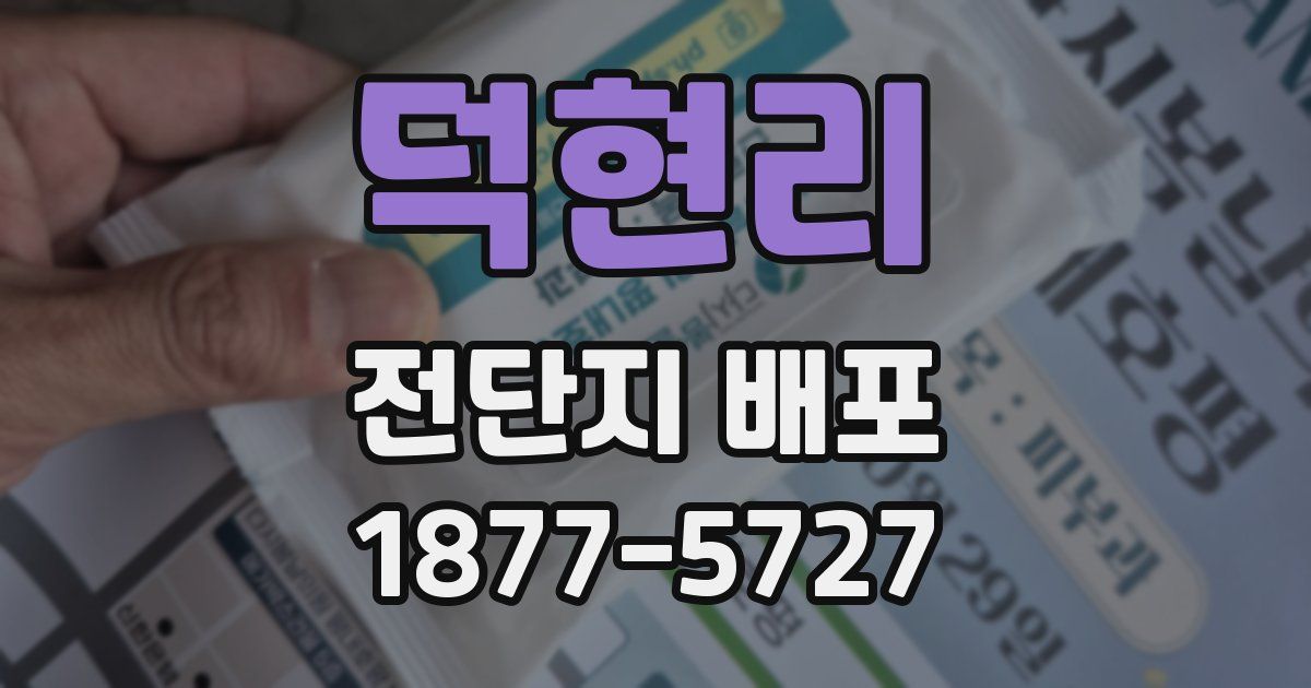 덕현리 전단지 배포